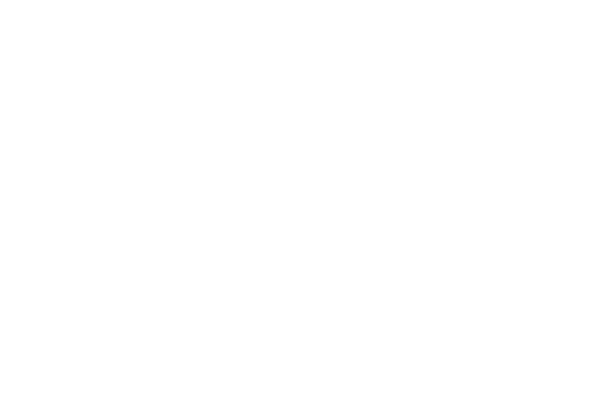 chapter9guitars