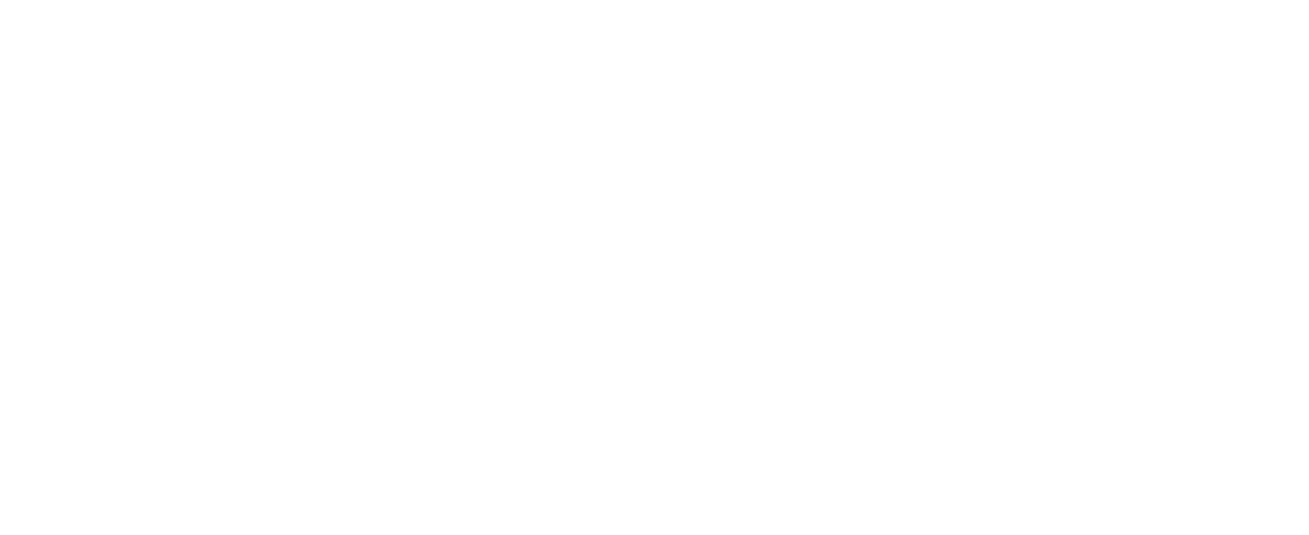 chapter9guitars icon